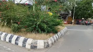 சாலை சந்திப்பில் அலங்கார செடிகள் வளர்க்க வேண்டாம் #avoidaccidents #roadsafty #tirupur #