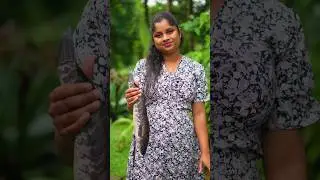 ලුලා මාළු Snakehead Fish Curry Recipe | Let's Make Flavorful Lula Fish Curry | Traditional Cookbook