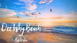 Dee Why Beach 4K Drone | NSW | Drone | Australia
