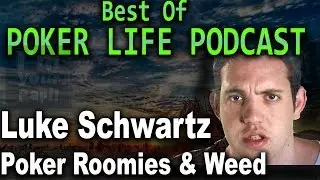 Luke Schwartz On American Poker Players Roomie/Weed Obsession || Best Of Poker Life