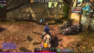 Neverwinter - Scrying Stones Achievements - Ebon Downs (PC)