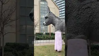 Cold spring in Toronto 🇨🇦 #coldspring #canadalife #torontovideos #rainyday #yyz #explorecanada