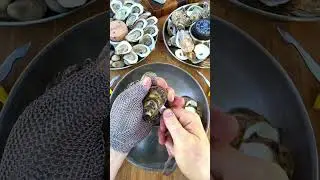 L1 M4 How to Shuck Handheld Through the Side