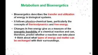 Cell Biology Lecture 4 - Podcast - Redox Reactions and Bioenergetics