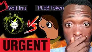 Volt Inu & Pleb token Quick Update || What's Next
