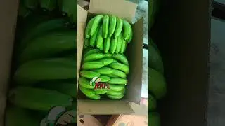 Super Quality Banana