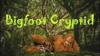 Bigfoot Cryptid