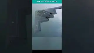 Сбила ли Сербия бомбардировщик-невидимку B-2 в 1999 году? #шорты