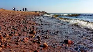 Зеленогорский парк и пляж в 