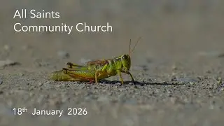 Sermon - “Demonic Locusts” (Revelation 9:1–12)
