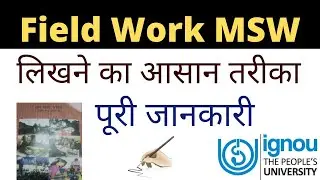 MSW field work writing / BSW field work journal / MSW / BSW / Internship report