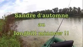 Sandre au Down Deep Husky Jerk Rapala (Thierry Schmit)