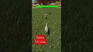 Zebra Vs Lion | Savannah Life | Roblox