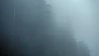 Heavy Rain in Forks, Washington (Sleep Sounds)