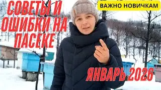 Проверяю зимовку пчёл | ВАШИ СОВЕТЫ И МОИ ОШИБКИ НА ПАСЕКЕ — январь 2026