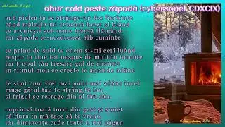 cărindar de argint - abur cald peste zăpadă