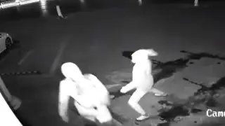 Burglar Knocks Out Accomplice While Throwing Bricks at Business Window: Cops