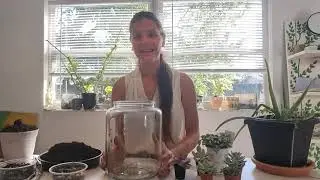 Universo de Suculentas en bowl de cristal ****