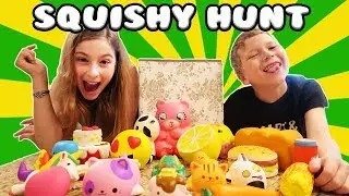 SQUISHY SCAVENGER HUNT! 😍😂😆Sis vs Bro Finding Squishies at Home!