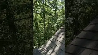 Springdale AR roof