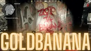 Cold War 