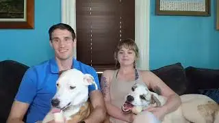 Dan and Taylor Adoption Video