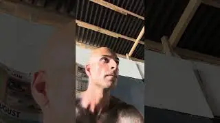 Это разбудило меня в 6 утра 🇵🇭 #филиппины #филиппинец #пиной