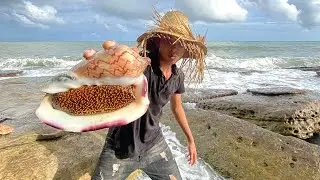 Wilderness Cooking Sea Snails - Snail Delicious Recipe on Rock