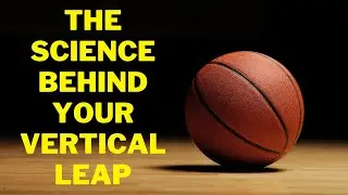 The Science Behind Your Vertical Leap - Is Vert Shock a Scam or Does It Actually Work? | Vert Shock