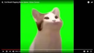 Cat Mouth Popping Noise Meme
