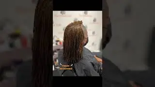 Bee Natural Locks