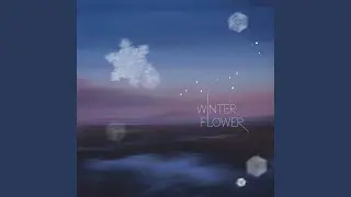 Winter flower