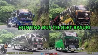 🚌HUNTING BUS PARIWISATA KEREN🤩DI TIKUNGAN VIRAL PANGANDARAN!🔥 (11-01-2026)