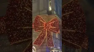 The Great Vienna Red Bow Photo Battle! 📸 🎀 😂