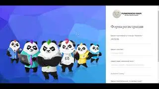 Как правильно и полностью зарегистрироваться в мессенджере и проекте Punk Panda