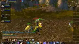 Old School World Of Warcraft Night Elf Hunter PvP