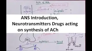 ANS part 1 Introduction, neurotransmitters and drugs acting on synthesis of Ach