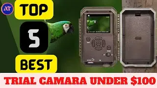 BEST TRIAL CAMARA UNDER $100