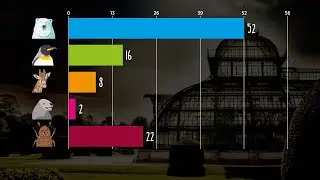 So funktioniert Single Transferable Vote