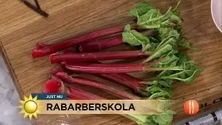 Rabarberskola med Johan Hedberg - Nyhetsmorgon (TV4)
