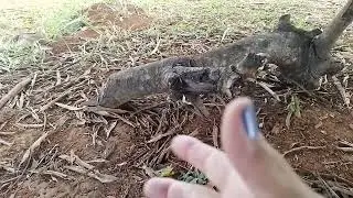 Magia negra  pra manda o inimigo  pro inferno