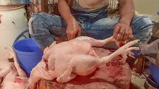 Fastest Fast Chicken Cutting Skills | Cutting Expert | Cutting BD