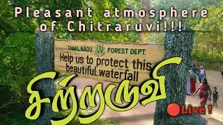 Embrace Nature's Serenity at Chitraruvi Waterfalls in Kutralam