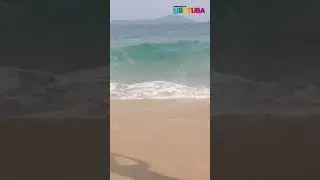 Resgate de Pinguim