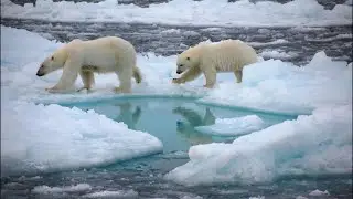 The North Pole Could Soon Be Ice Free in the Summer