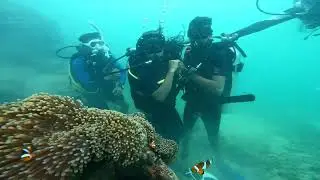 Celebrating Love, beneath the waves.