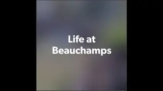 Life at Beauchamps