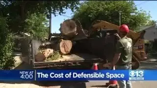 The Cost of Defensible Space