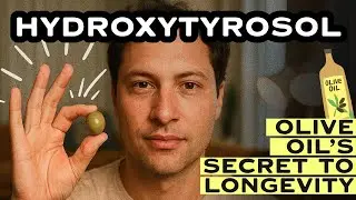 Hydroxytyrosol Explained: The Olive Oil Antioxidant That Could Save Your Life