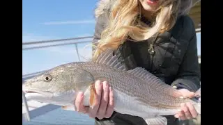 How to Target and Locate Winter Redfish: Best Redfish Bait and Tactics